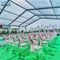 Деятельности при Сеатер укрытия 300 современного большого на открытом воздухе шатра свадьбы алюминиевые